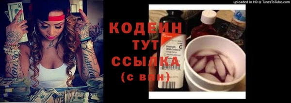 ECSTASY Алзамай