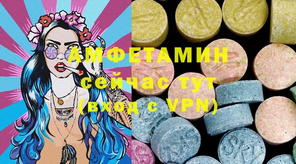 ECSTASY Алзамай