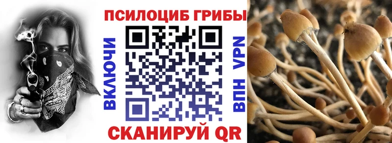 закладка  Нелидово  Галлюциногенные грибы мухоморы 