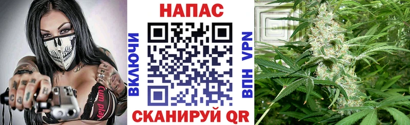 Марихуана марихуана  Нелидово 